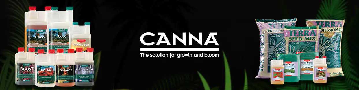 canna