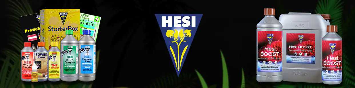 hesi